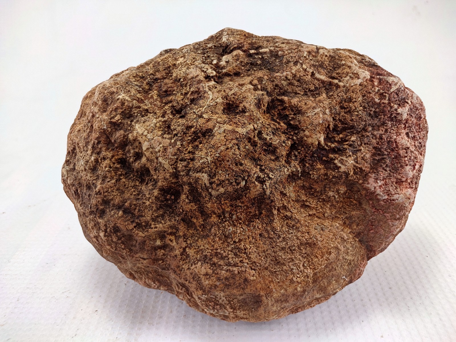 5.75″ Unopened Geode Localized Red Exterior KY Quartz Crystal 5 LB Non Rattler