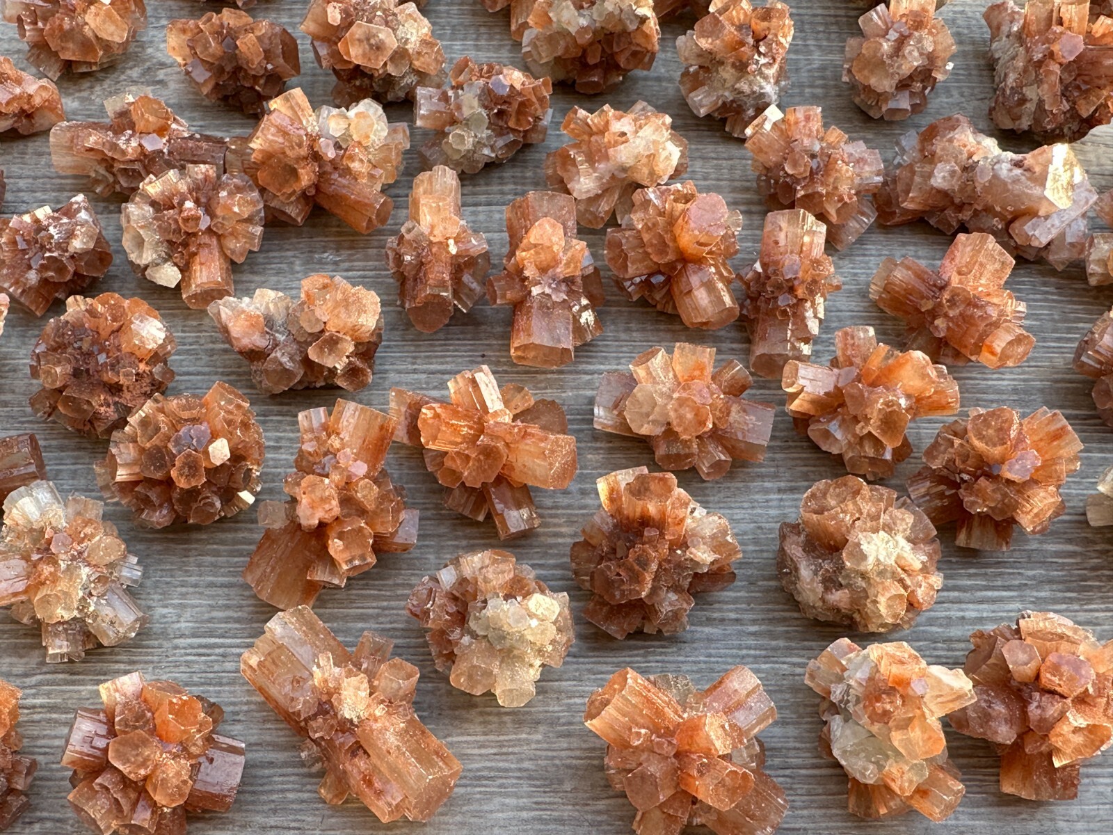 7-10 pcs Box Aragonite Clusters Collection,Grade A++ Mini Aragonite Star Crystal