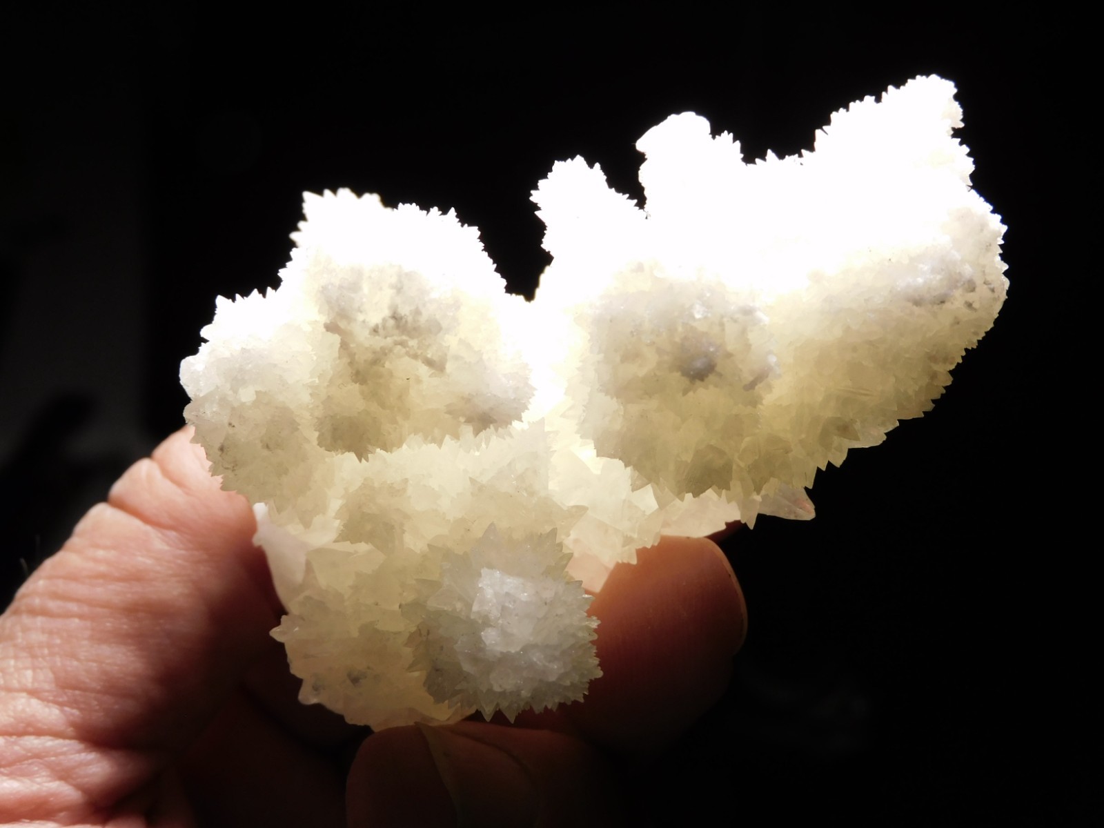 Bright White! CAVE Aragonite STALACTITE Crystal Cluster Mexico 145gr