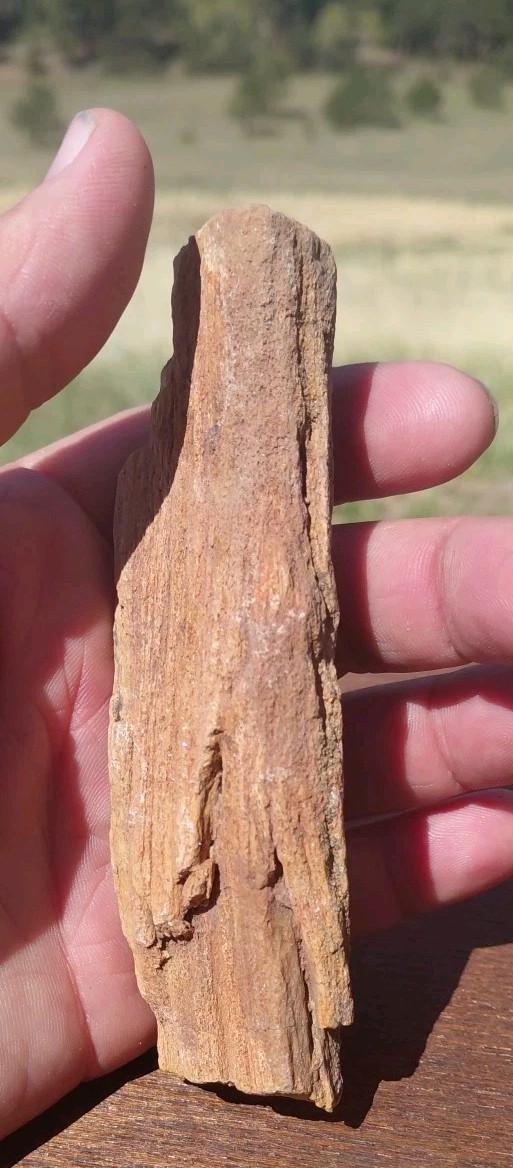 Petrified Wood Fossilized Twisted Branch Bark Druzy Quartz 1/4Lb – 4 1/2″×1 1/4″