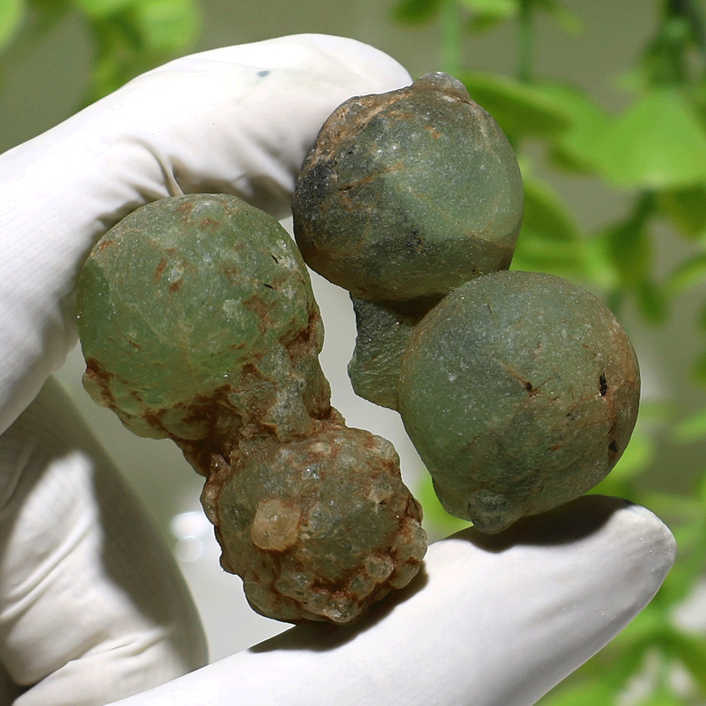 Earth’s Geometry~ 2 PC Ancient Orbs Of Prehnite Rare Mineral Crystal Specimens