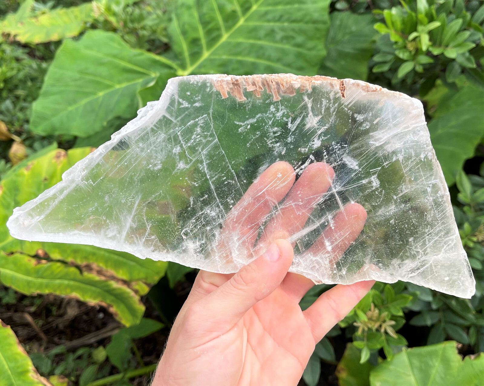 EXTRA LARGE Natural Selenite Slabs, 1-2 lb Stunning Raw Selenite Slices + Stand