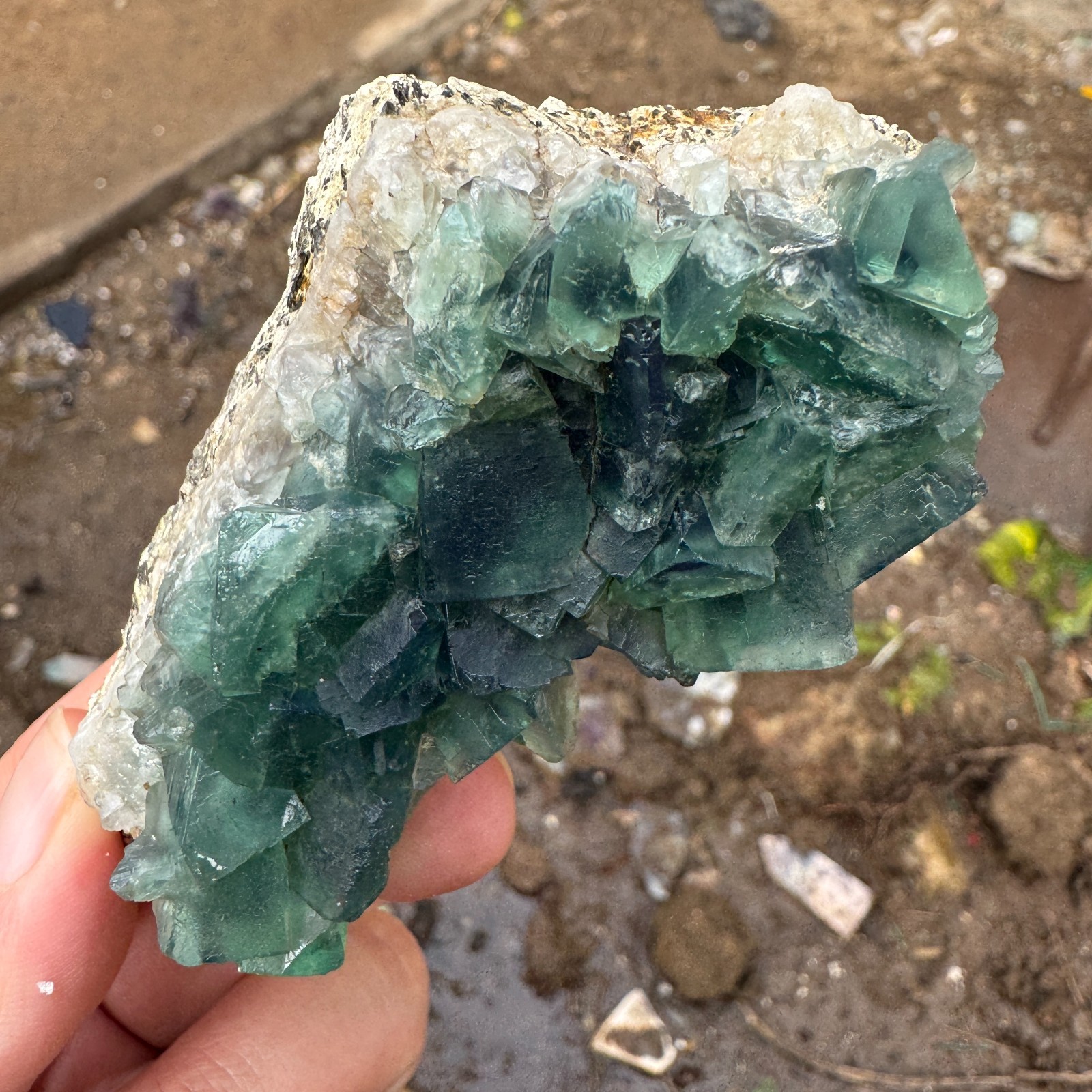 155G Natural cubic green fluorite crystal cluster rough mineral specimen Healing