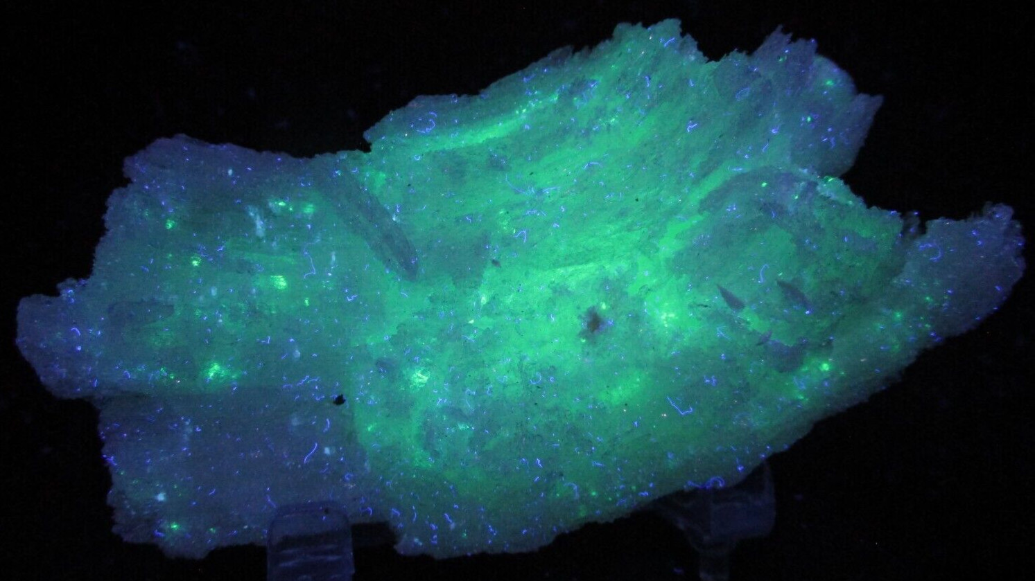 Fluorescent Starry Night Selenite Gypsum Novacekite Inclusions Chihuahua Mexico