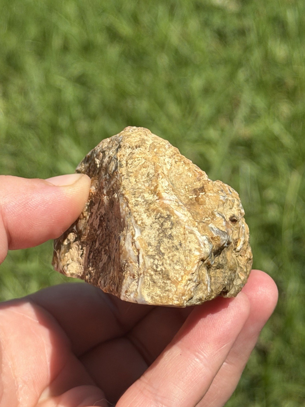 Vibrant Kentucky Agate Specimen – Irvine, KY | Rich Yellow, Red, & Smoky Purple