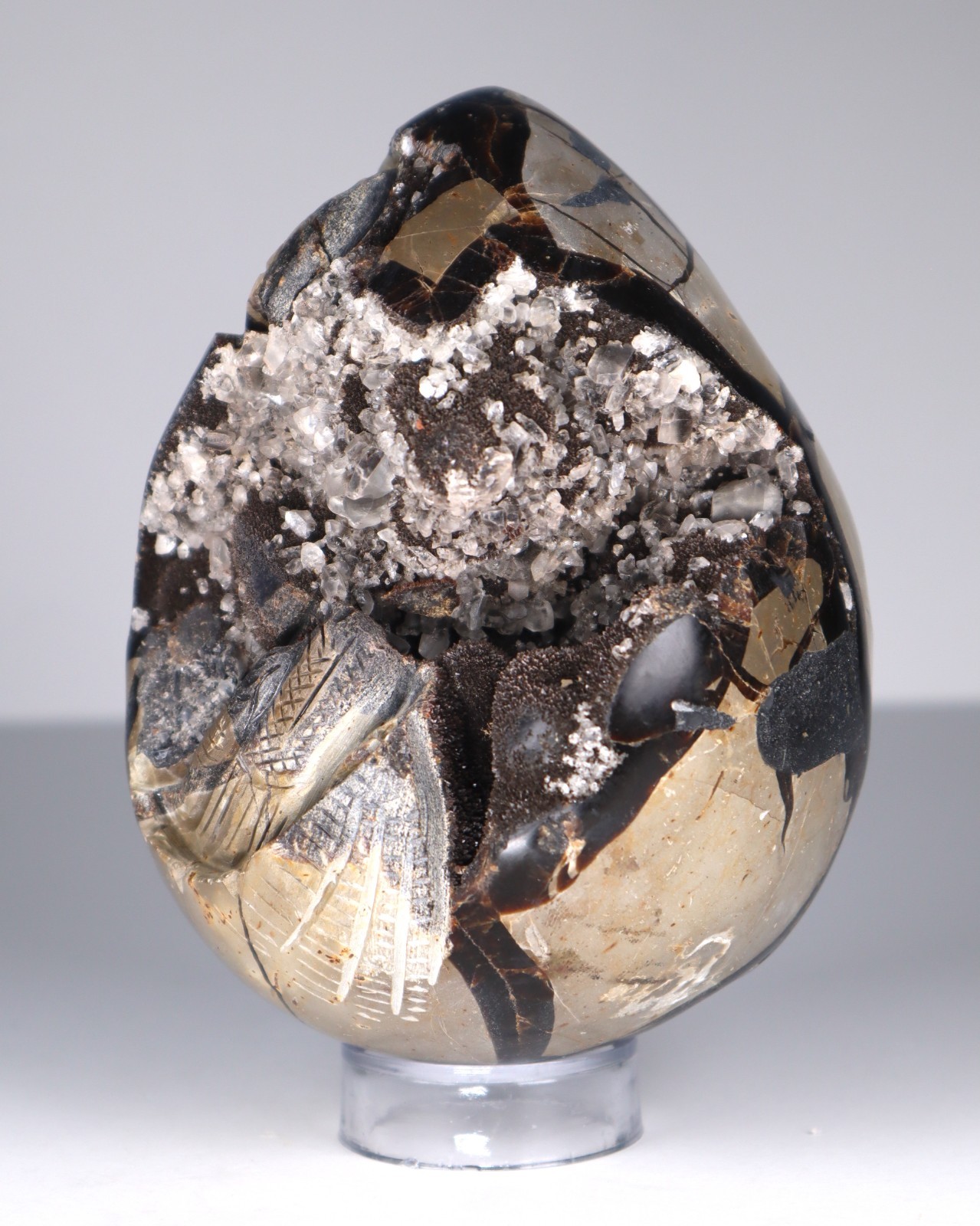 Huge Septarian Dragon Egg 4.3lb Calcite Crystal Cave Fossil Shell Display Stone