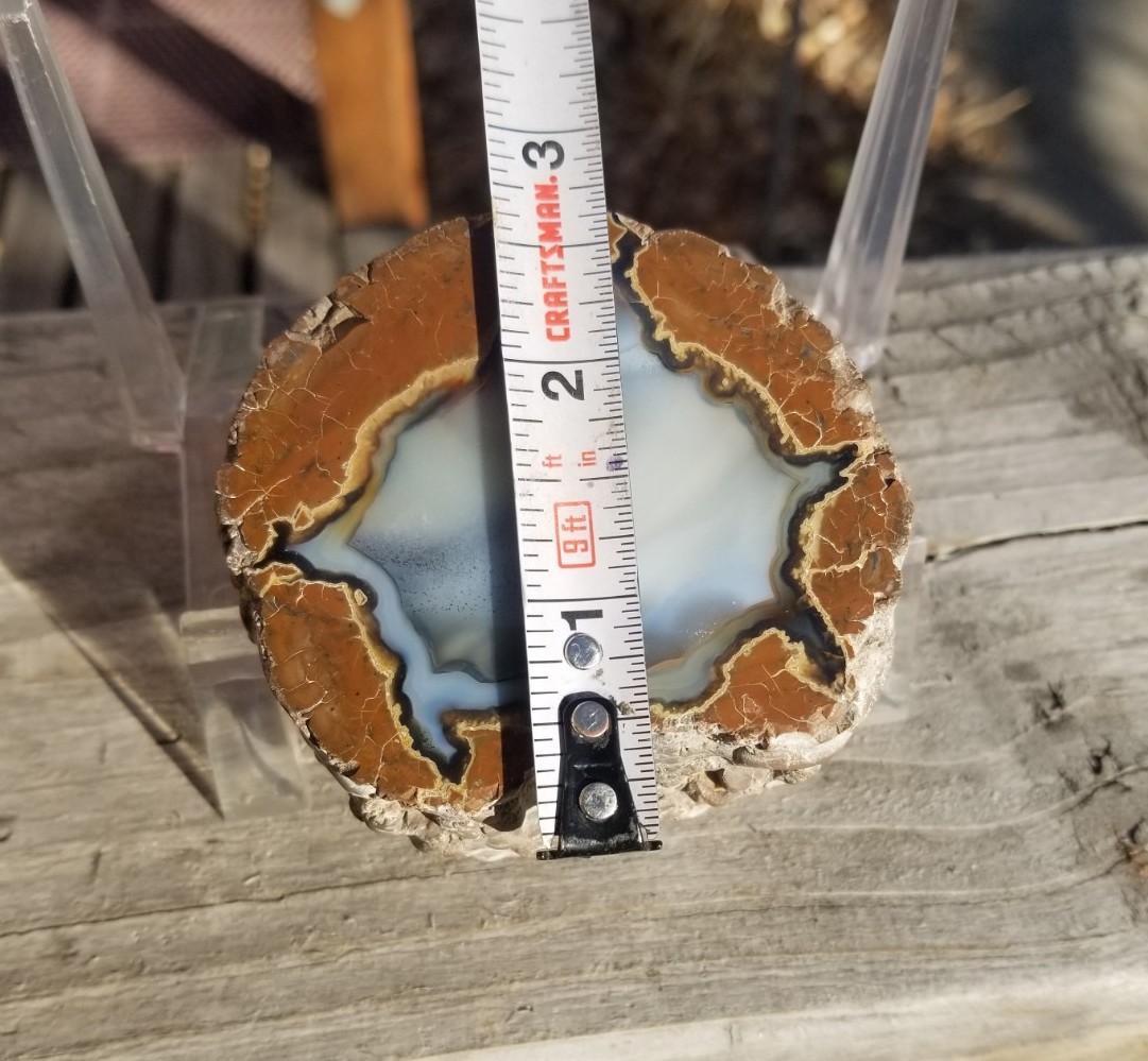 Nice Richardson Ranch Thunder Egg Geode 3″ Polished Half Specimen Opaque Banding