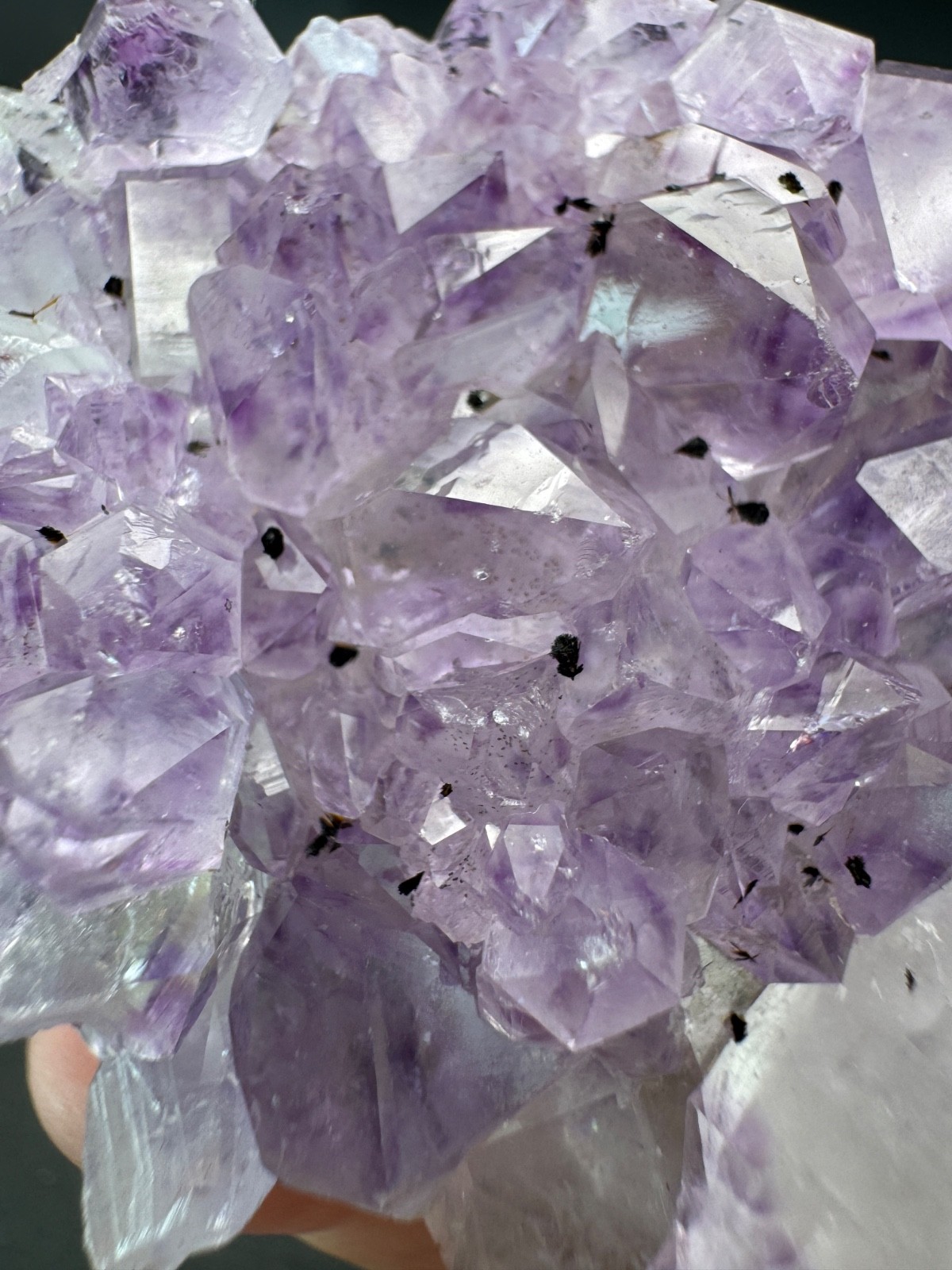 6857 Amethyst Cluster with Goethite Inclusions Brazil 60g