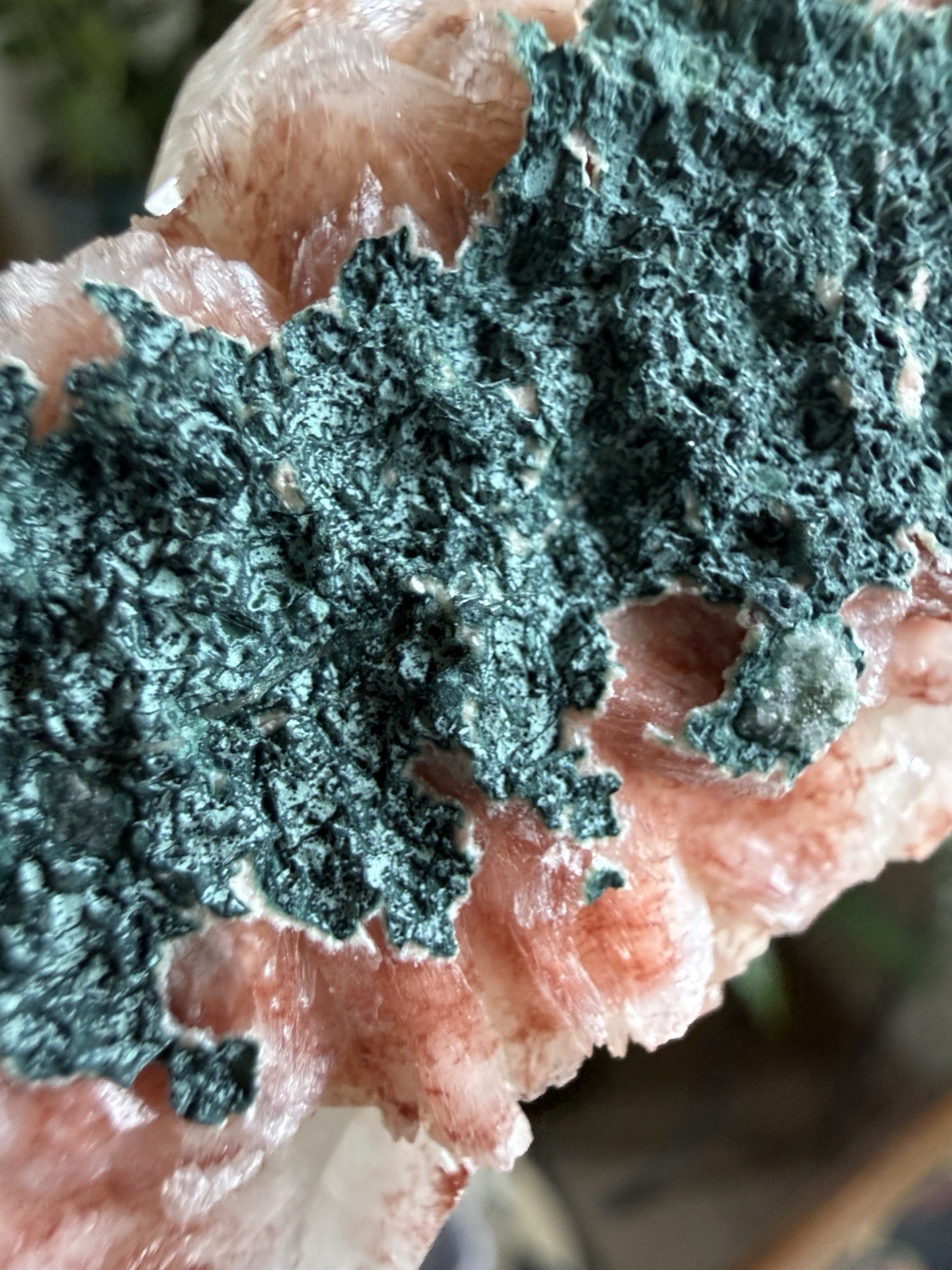 White Apophyllite Mineral Specimen with Green Matrix, Approx. 5.25 Inch