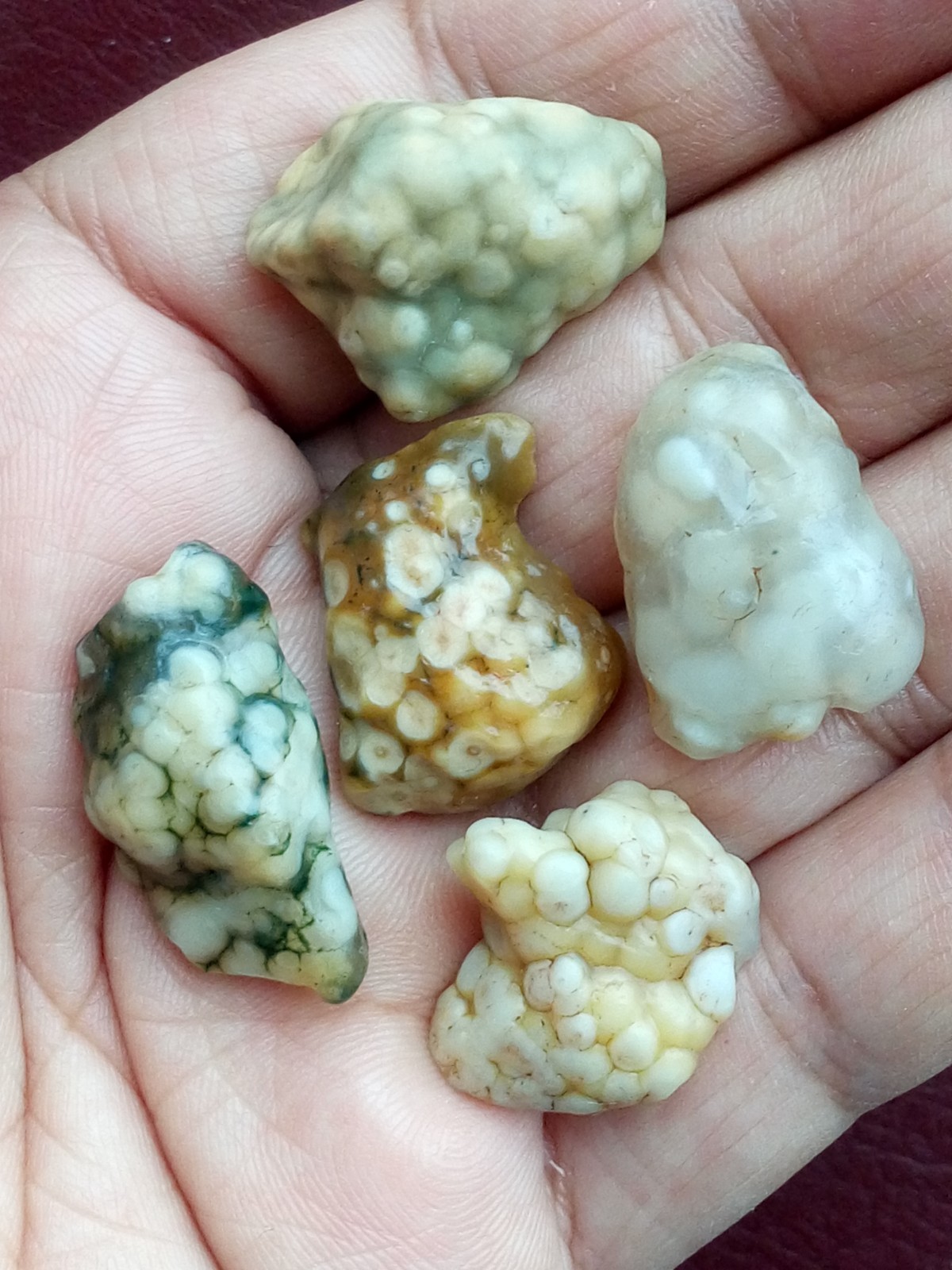 5 pieces Beautiful Natural GoBi agate collection