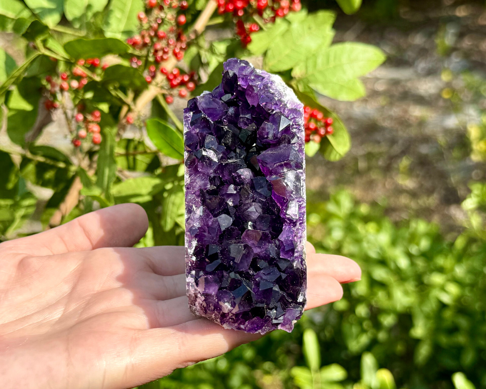 Stunning EXTRA LARGE Amethyst Cut Base Cluster Crystal Quartz Geode 12 oz – 1 lb