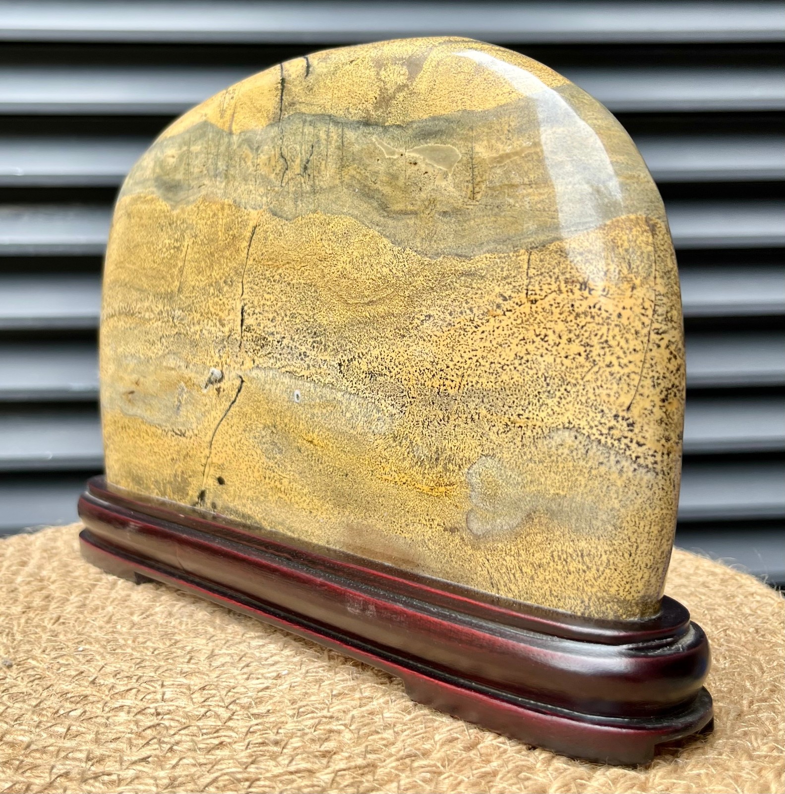 Natural Scenic Stone Display Polished Pattern Art w/ Wood Stand 4.1 lb