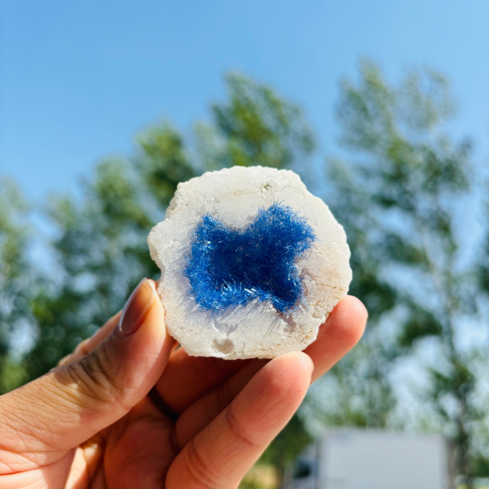 1pc Natural Agate Geode Quartz Crystal Energy Mineral Specimen Reiki Decor