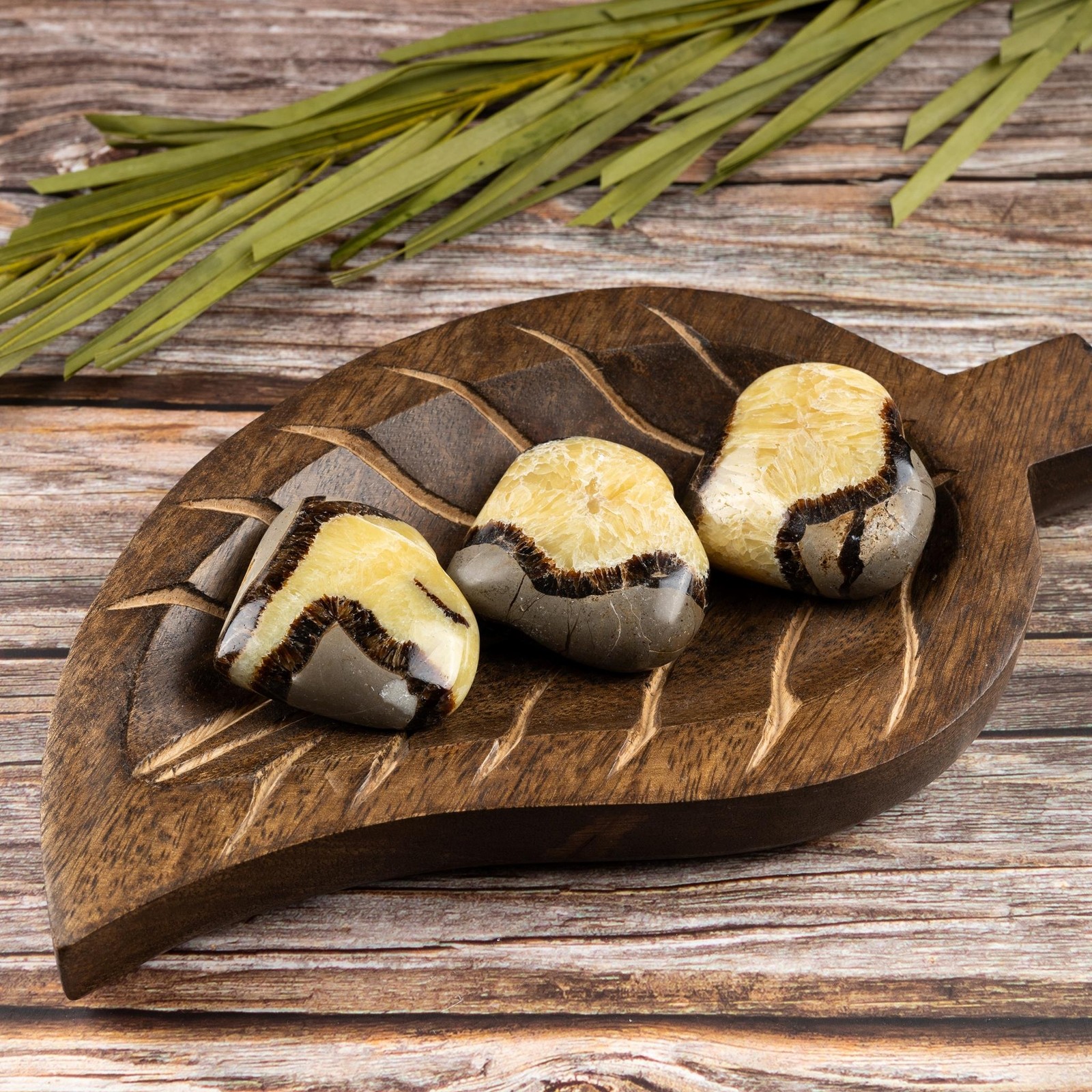 Septarian Heart Palm Stone Crystal – Natural Healing Stone for Anxiety Relief &