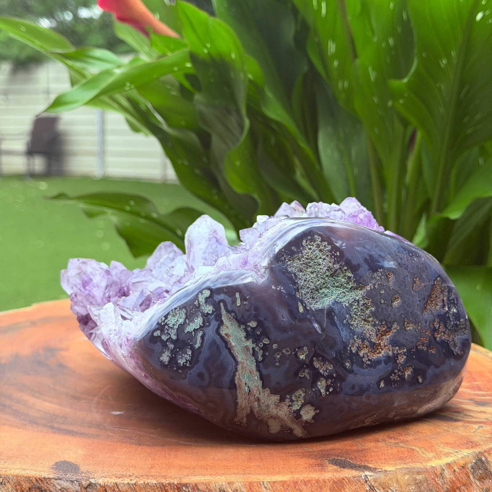 Massive Museum Grade Amethyst Geode Specimen 3.49kg Serra do Sol Brazil