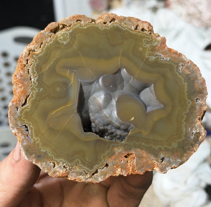 EXTREMELY RARE COLOR! | Large Kentucky Agate mirror polished half Estil County
