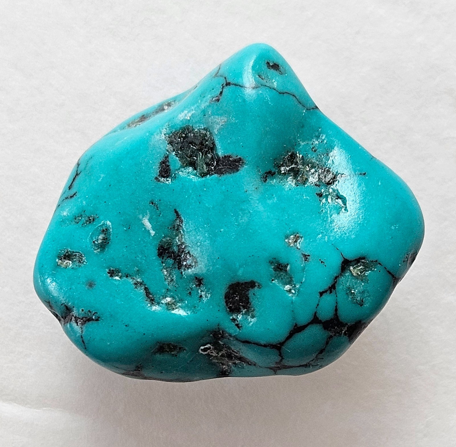 Beautiful Spider Web Turquoise