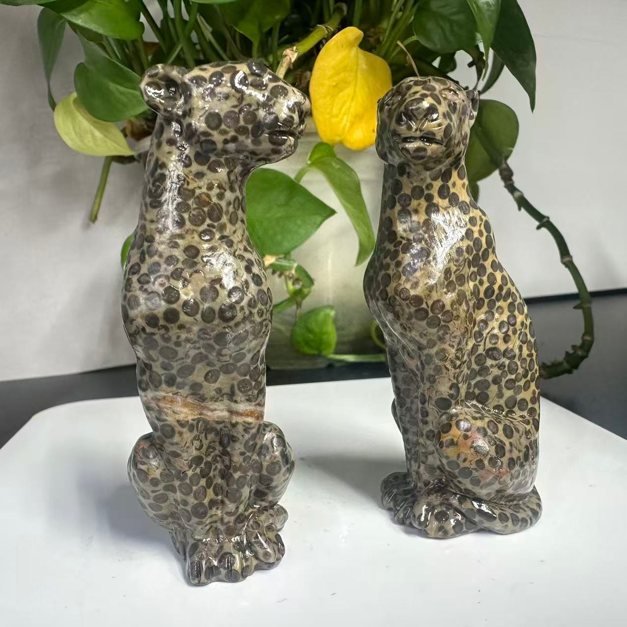 1pc Natural Money Leopard Stone Quartz Carved Leopard Skull Crystal Reiki Decor