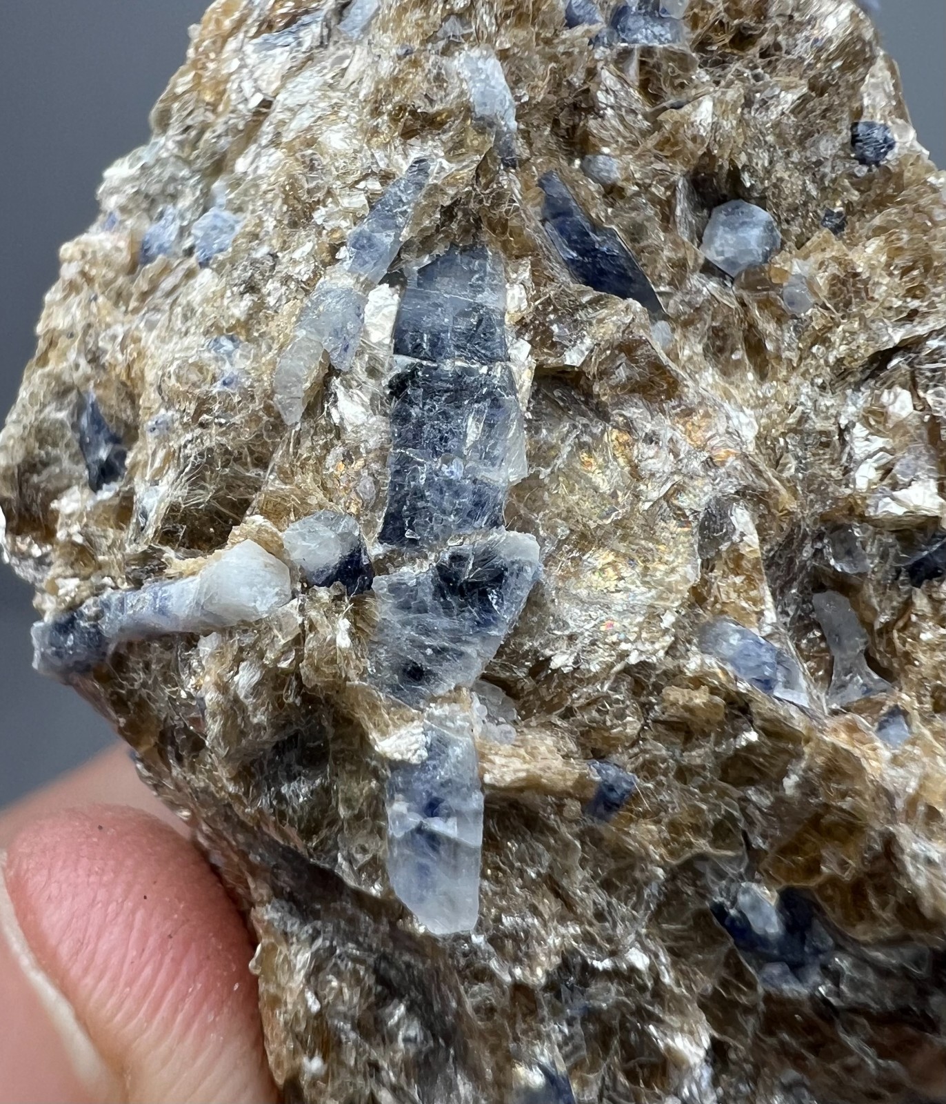 217 GM Sapphire Crystals On Mica Matrix – Badakhshan AFG – Combine Shipments