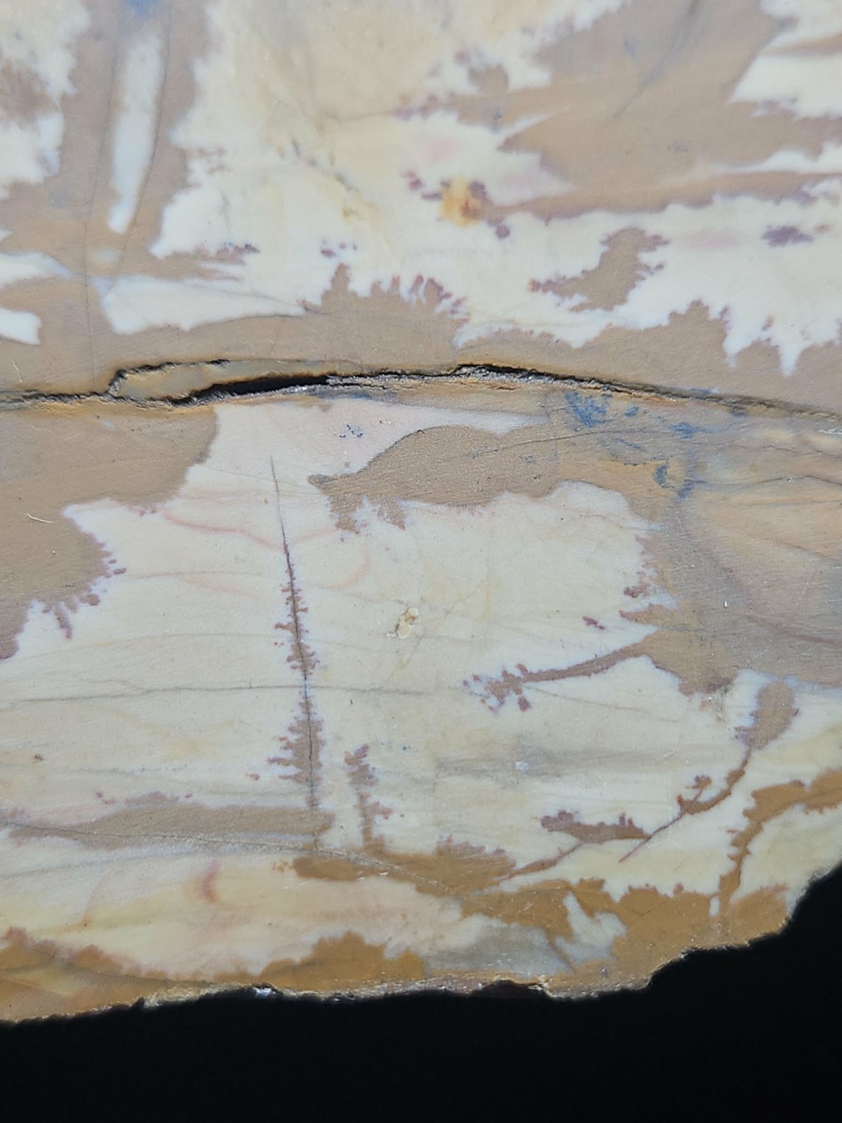 Oregon Picture Jasper Specimen (3lbs 4oz) Measures 8 in x 4 in x 3 in