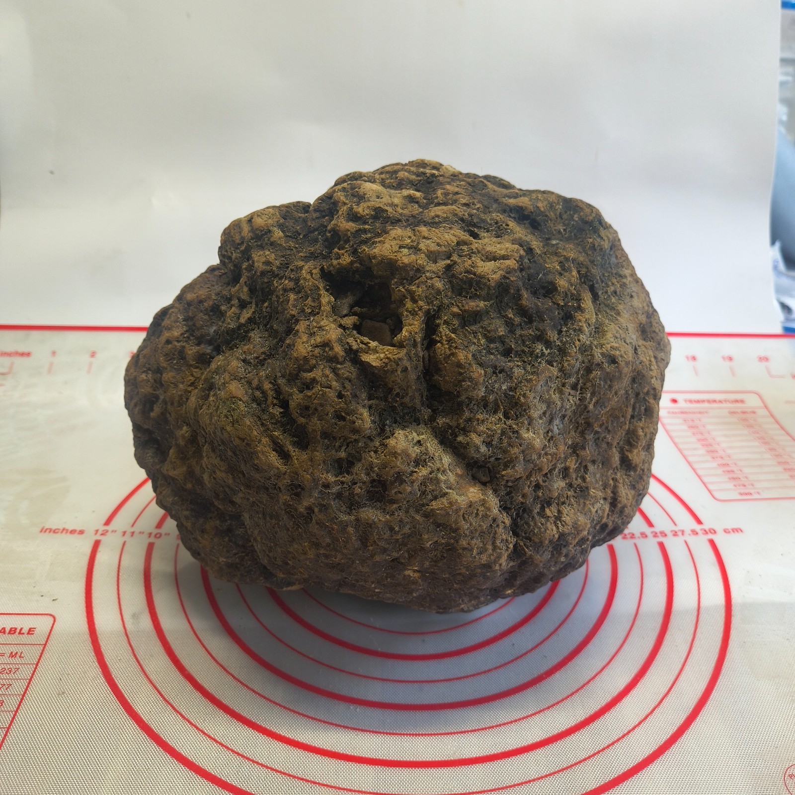 20.6 lb Unopened Kentucky Geode Break Your Own Large Quartz Crystal Hand Picked