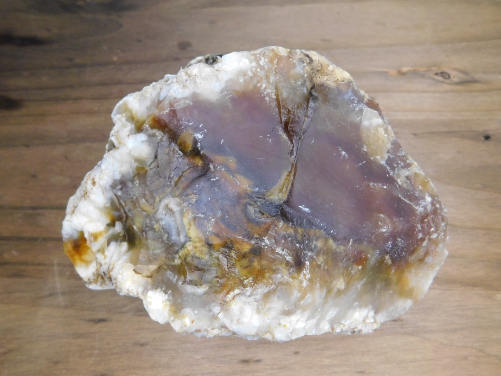 Dark Caramel Brown and White Agate 2 lbs. 9oz. Vintage