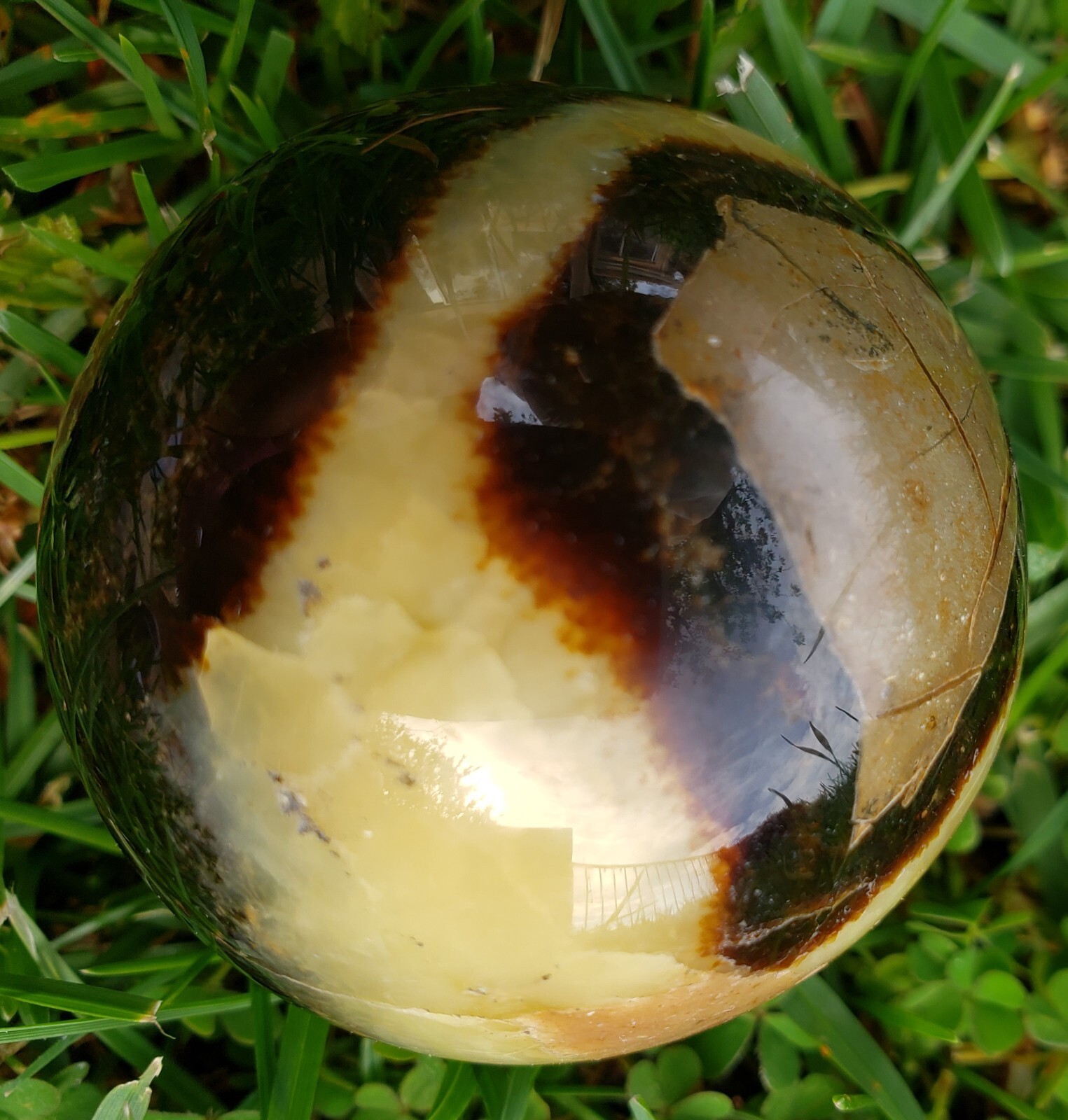 2.0″ Natural Septarium Septarian Dragon Egg Phosphorescent UV Crystal Sphere