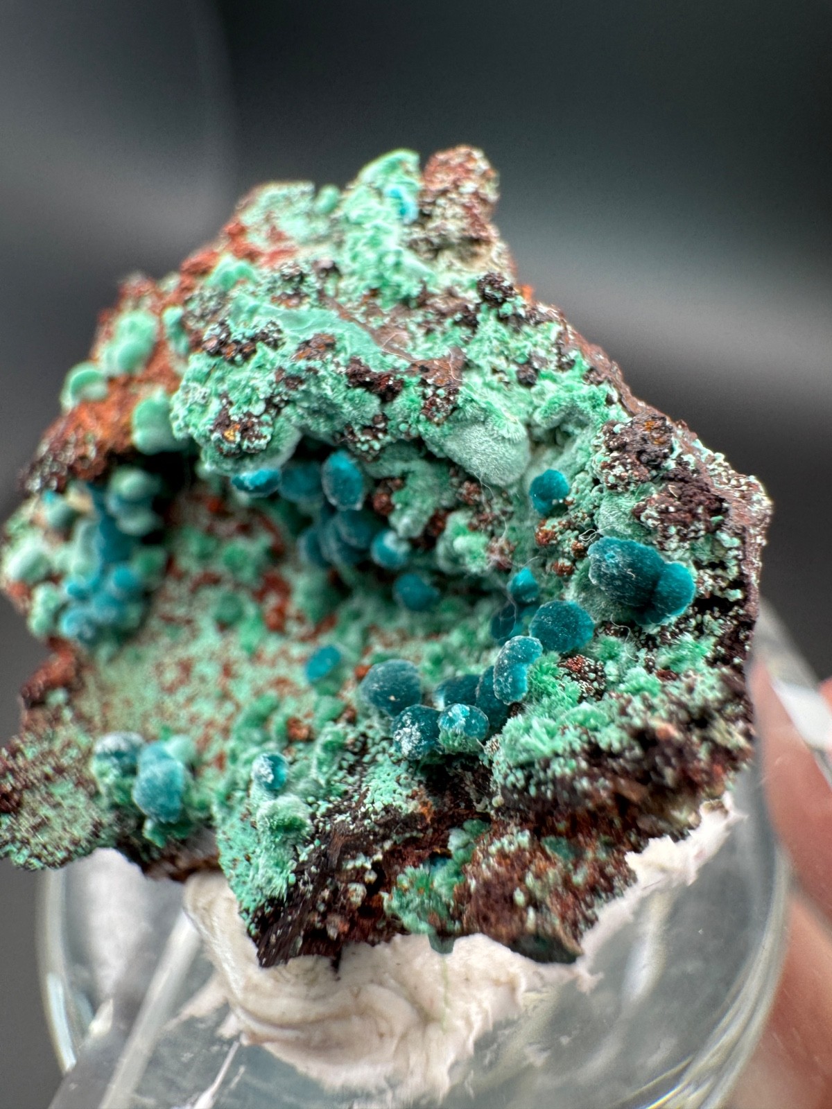 6757 Rosasite and Malachite on Matrix in Perky 8g Ojuela Mine, MX