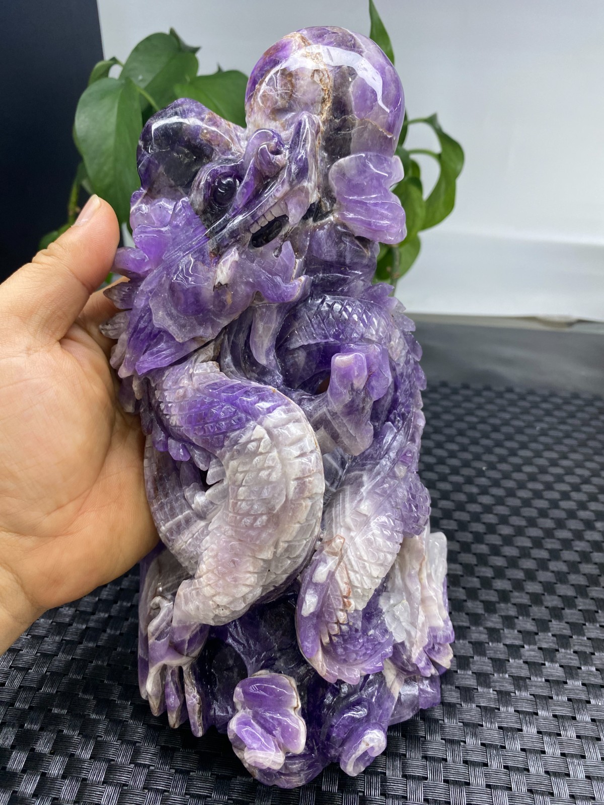 3.67lb Natural Dreamy Amethyst Quartz Carved Dragon Skull Crystal Reiki healing