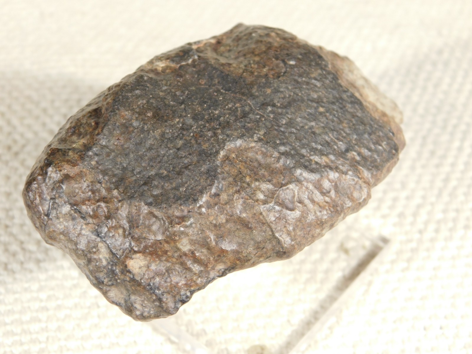Larger N.W.A 869 Stony METEORITE with Dark Fusion Crust 197gr