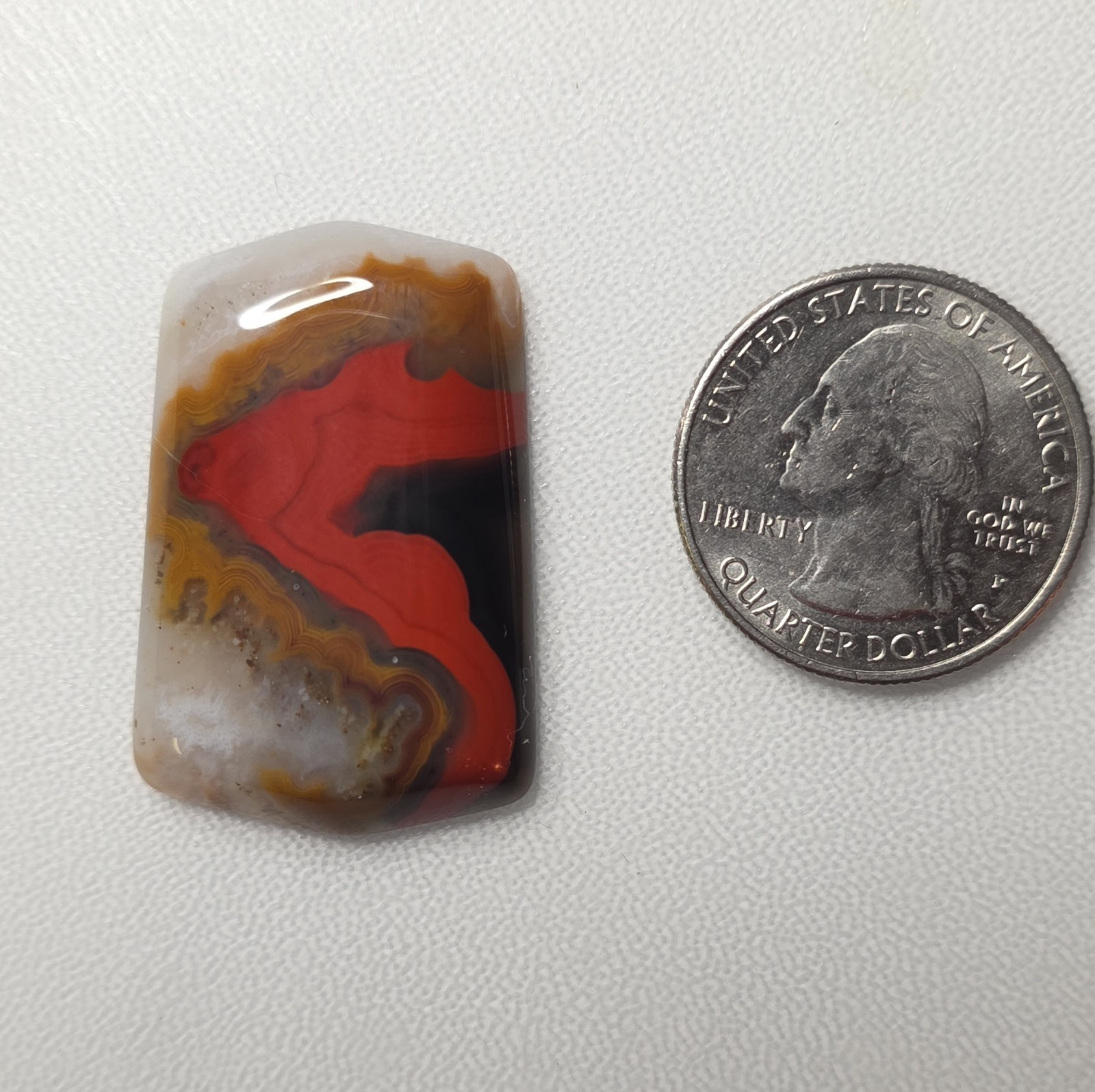 Rare Red Black Tan Clear Banded Kentucky Agate Cabochon Ready to Set #C-13