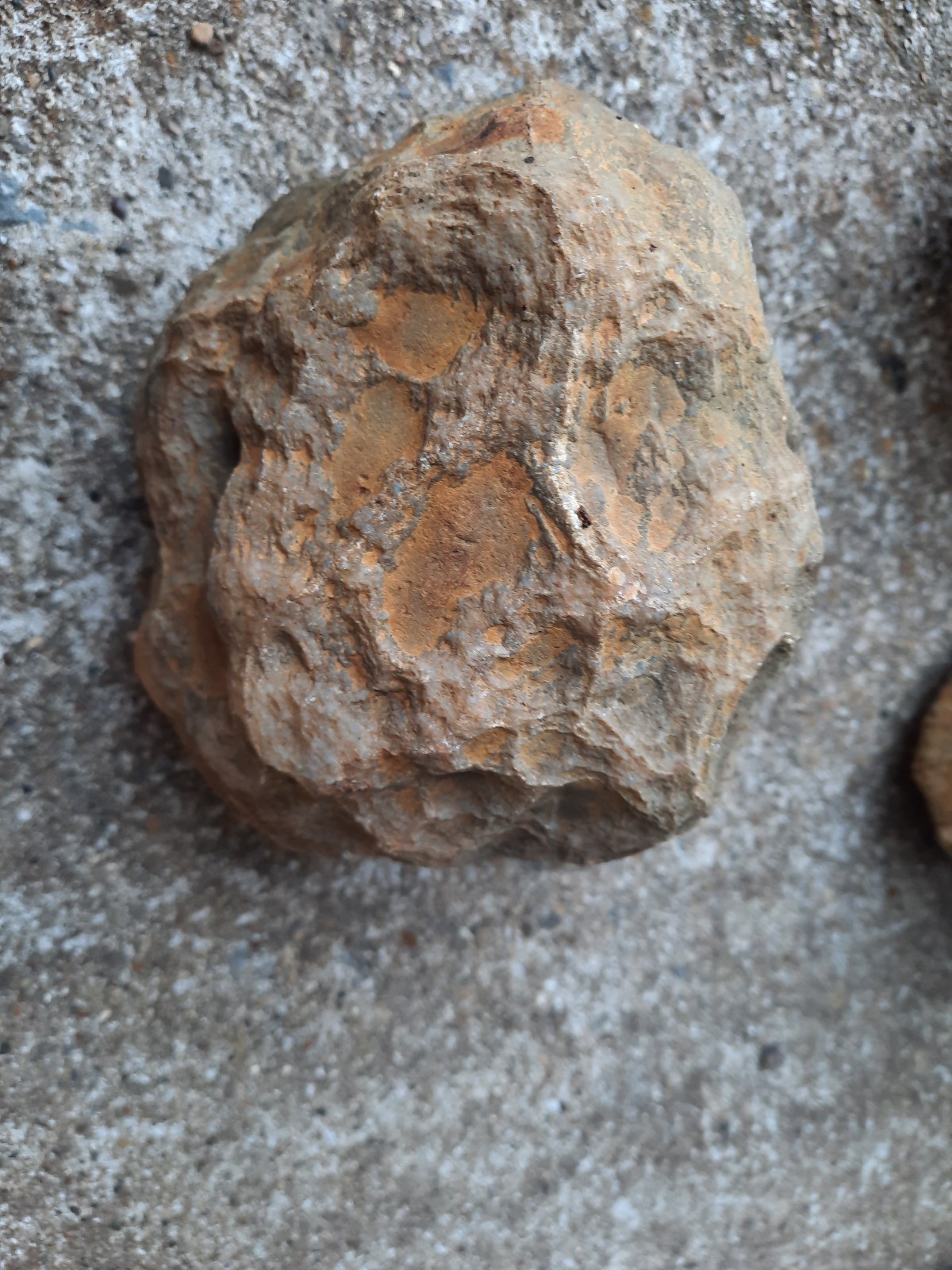 4.75″ Unopened Calcite Rattler Geode from Southern Kentucky. 2 Pounds