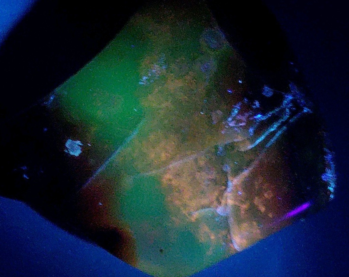 Polished Yellow Cat UV+ Agatized Petrified Wood Limb Cast Mineralization @ Depth