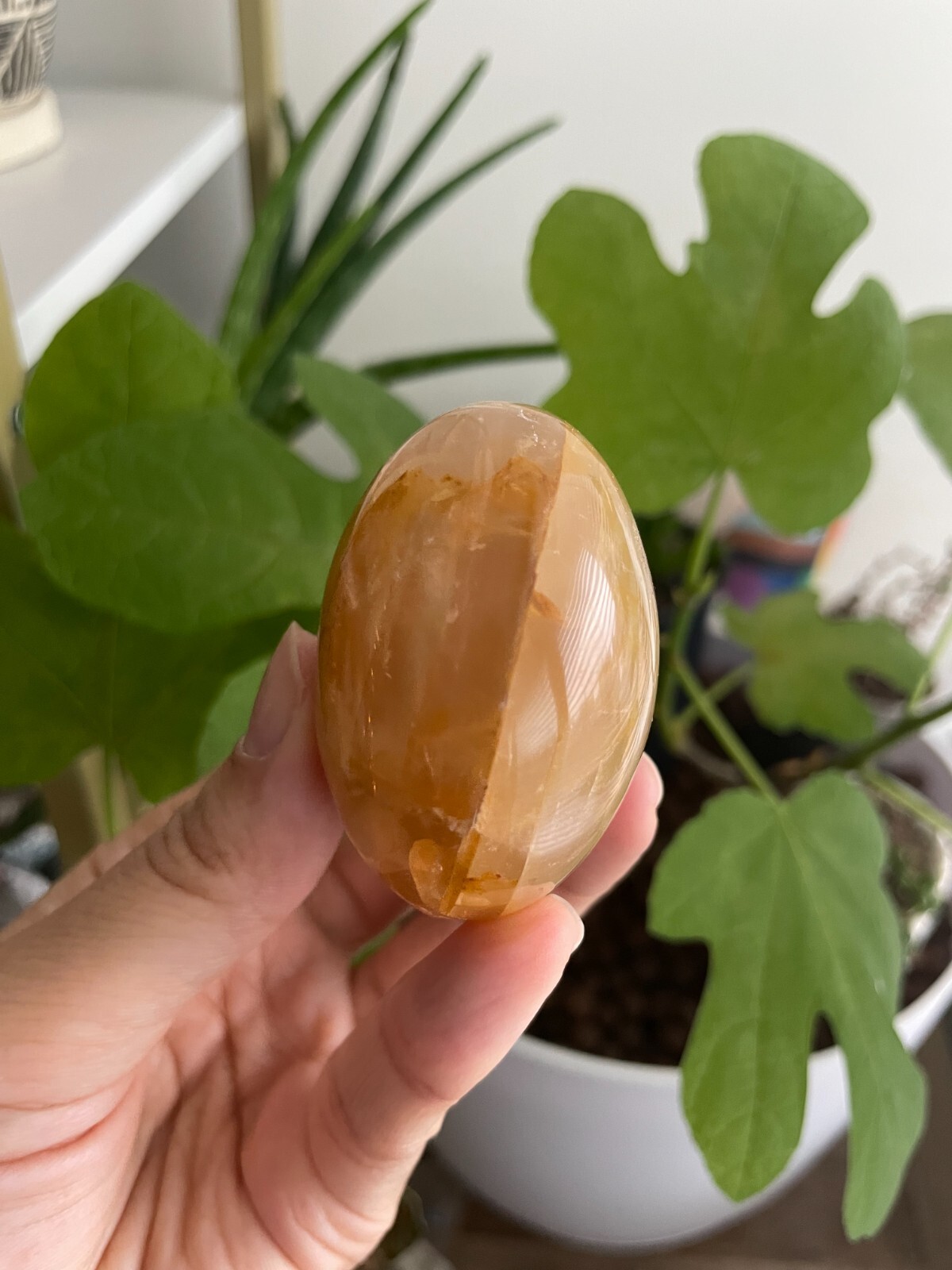 Polished Golden Healer Palm / Palmstone, Medium, approx. 2″H, 108 grams