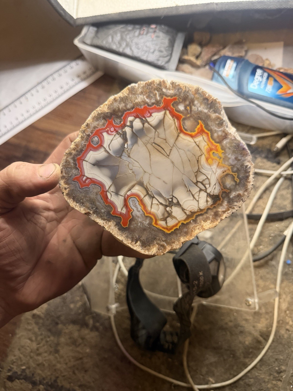 LARGE 1LB 12OZ Fire Kentucky Agate With Dark Fracture Lines Brilliant Contrast