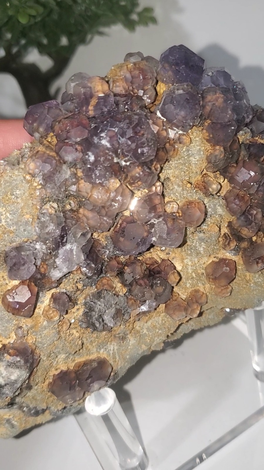 Tanzanite Fluorite On tan-colored quartz-rich matrix Statement PEACE 1KG 210G