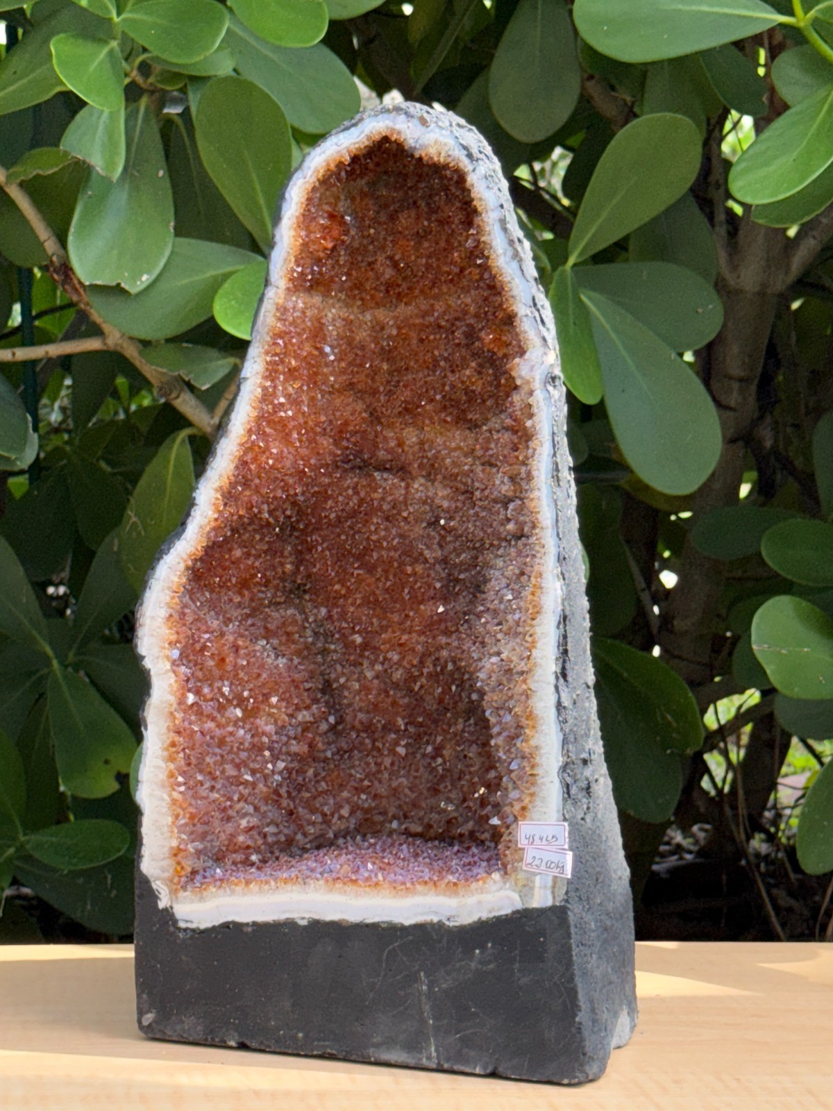 X-Large Citrine Cathedral, Citrine Geode, Honey Citrine Cluster, Pick a Weight