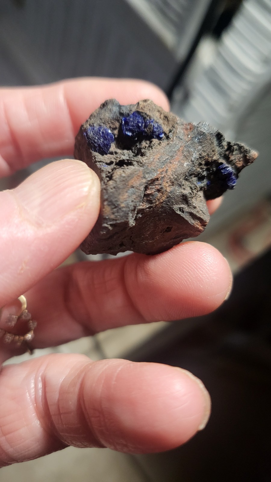 Highly Prized Rock and Mineral Collection