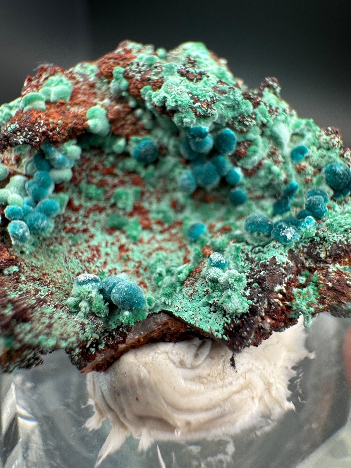 6757 Rosasite and Malachite on Matrix in Perky 8g Ojuela Mine, MX