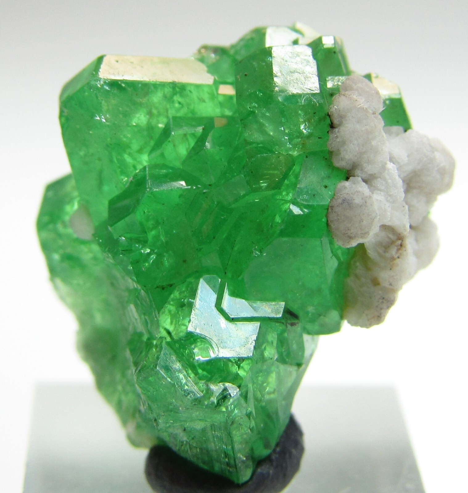 FASCINATING GEOMETRIC GEM TSAVORITE GROSSULAR GARNET CRYSTAL!!! TANZANIA
