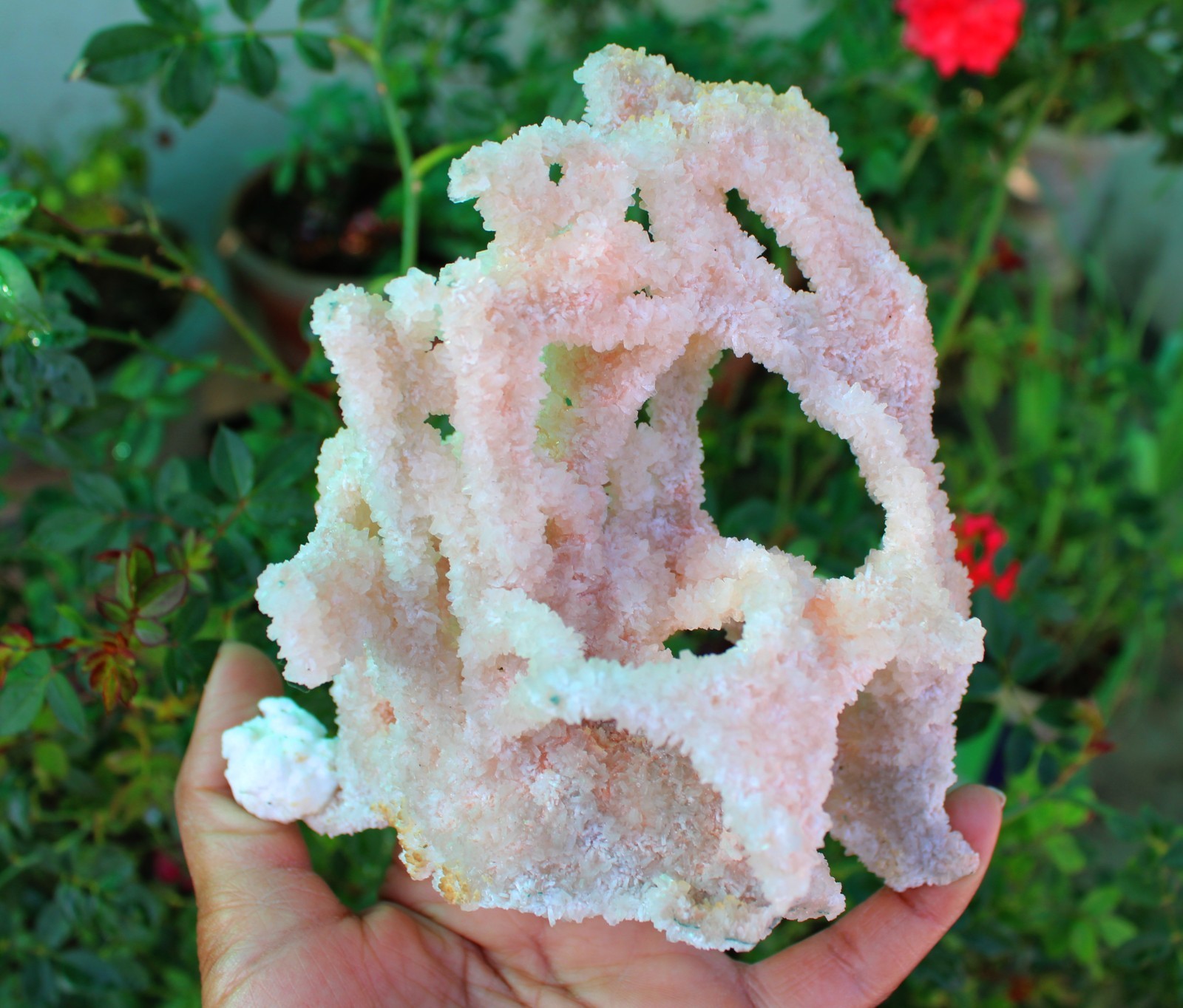 Apophyllite Crystals With Chalcedony Coral Minerals Specimen #A9