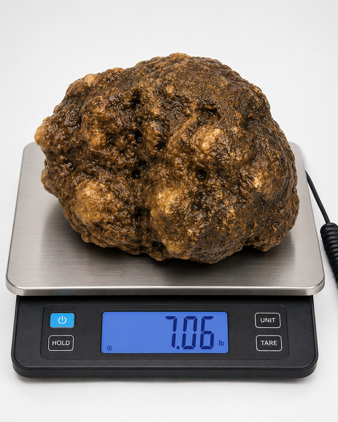 7.06 lb Kentucky Geode Unopened Large Natural Crystal Geode 8″ Feels Hollow
