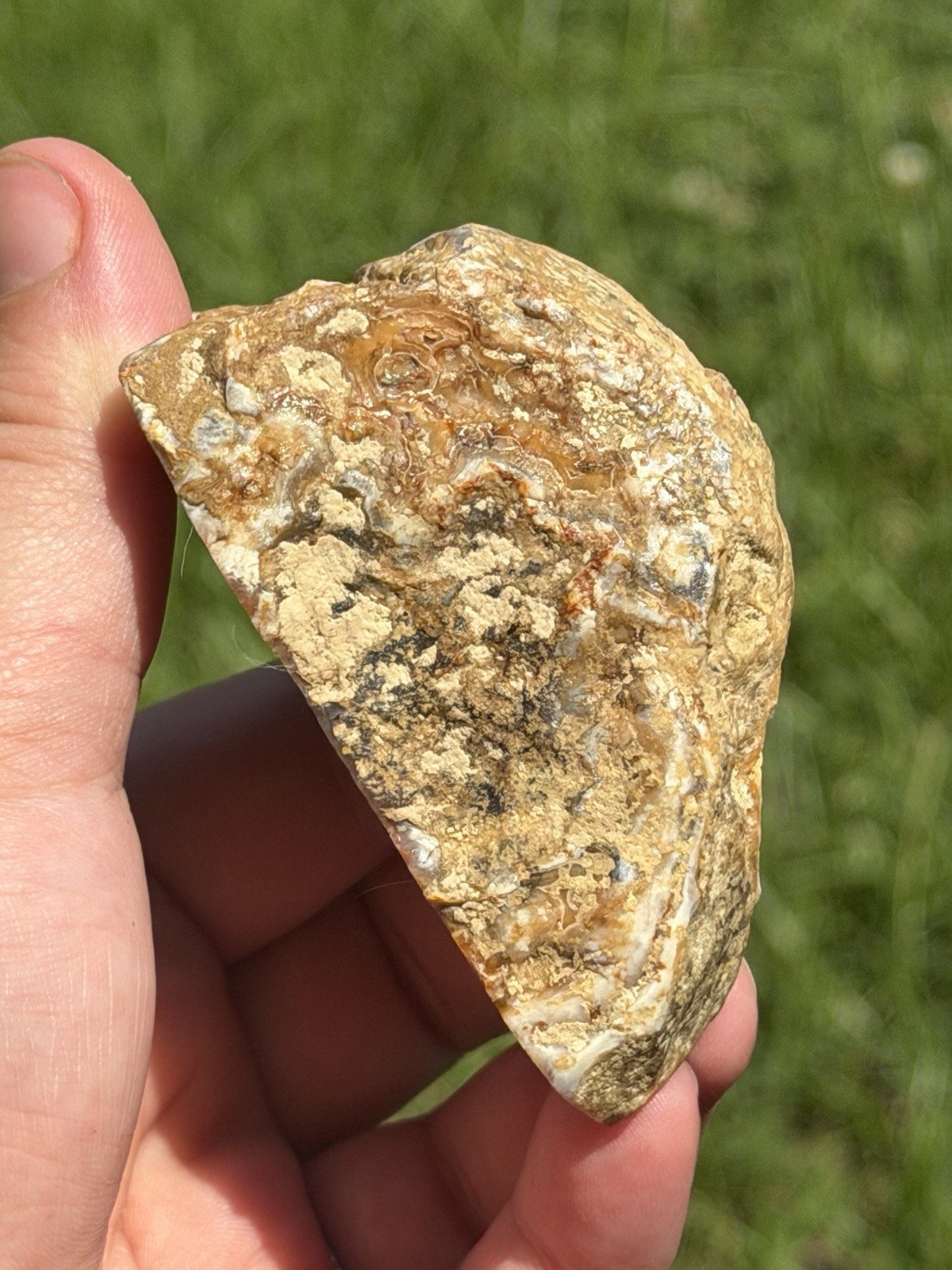 Vibrant Kentucky Agate Specimen – Irvine, KY | Rich Yellow, Red, & Smoky Purple