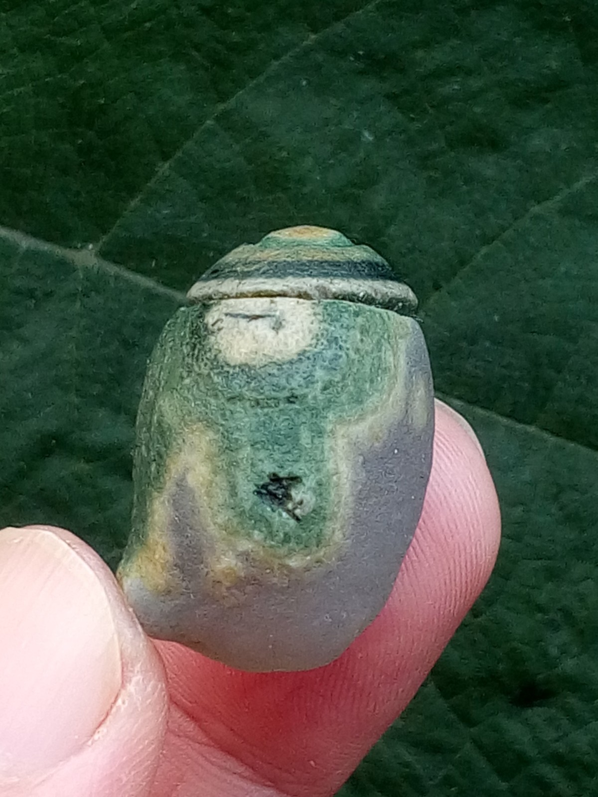 36mm Natural Gobi agate eye agate stone Suiseki-viewing collection china