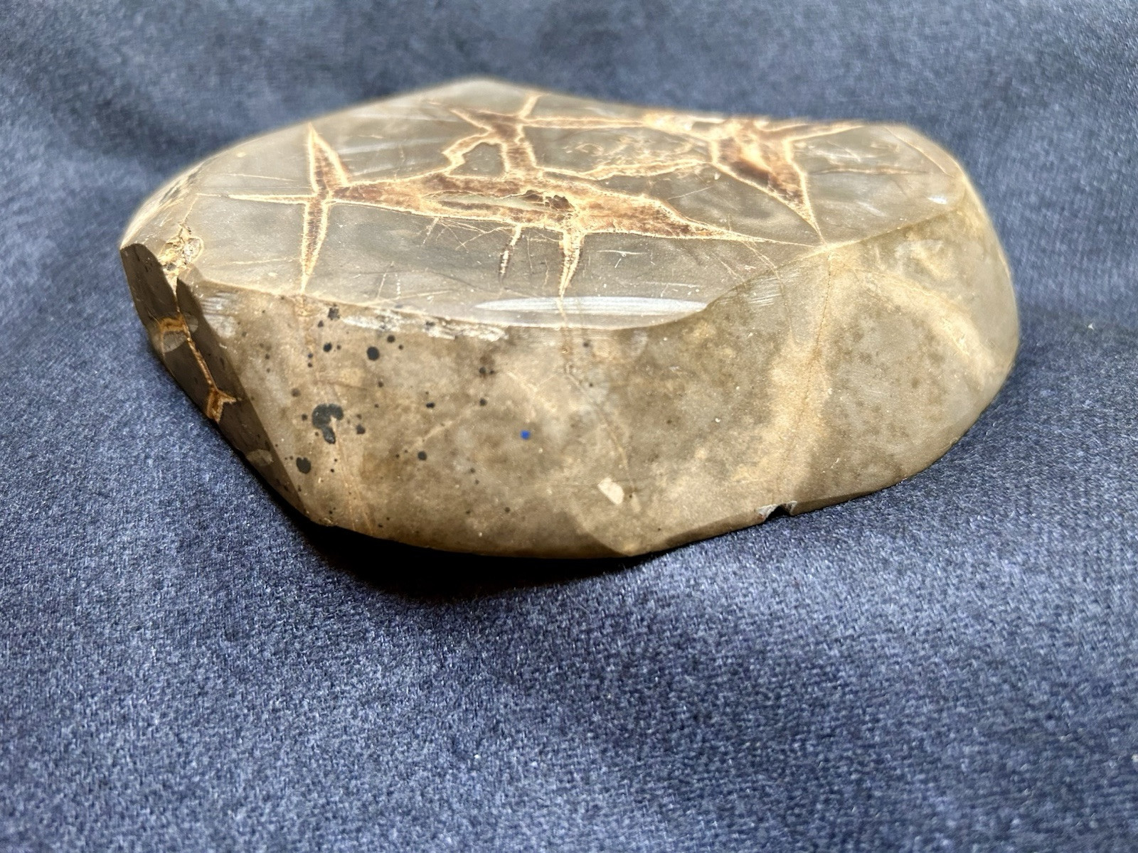 Large Septarian Nodule Utah Specimen Dragon Stone Nice Obvious Calcite Presence