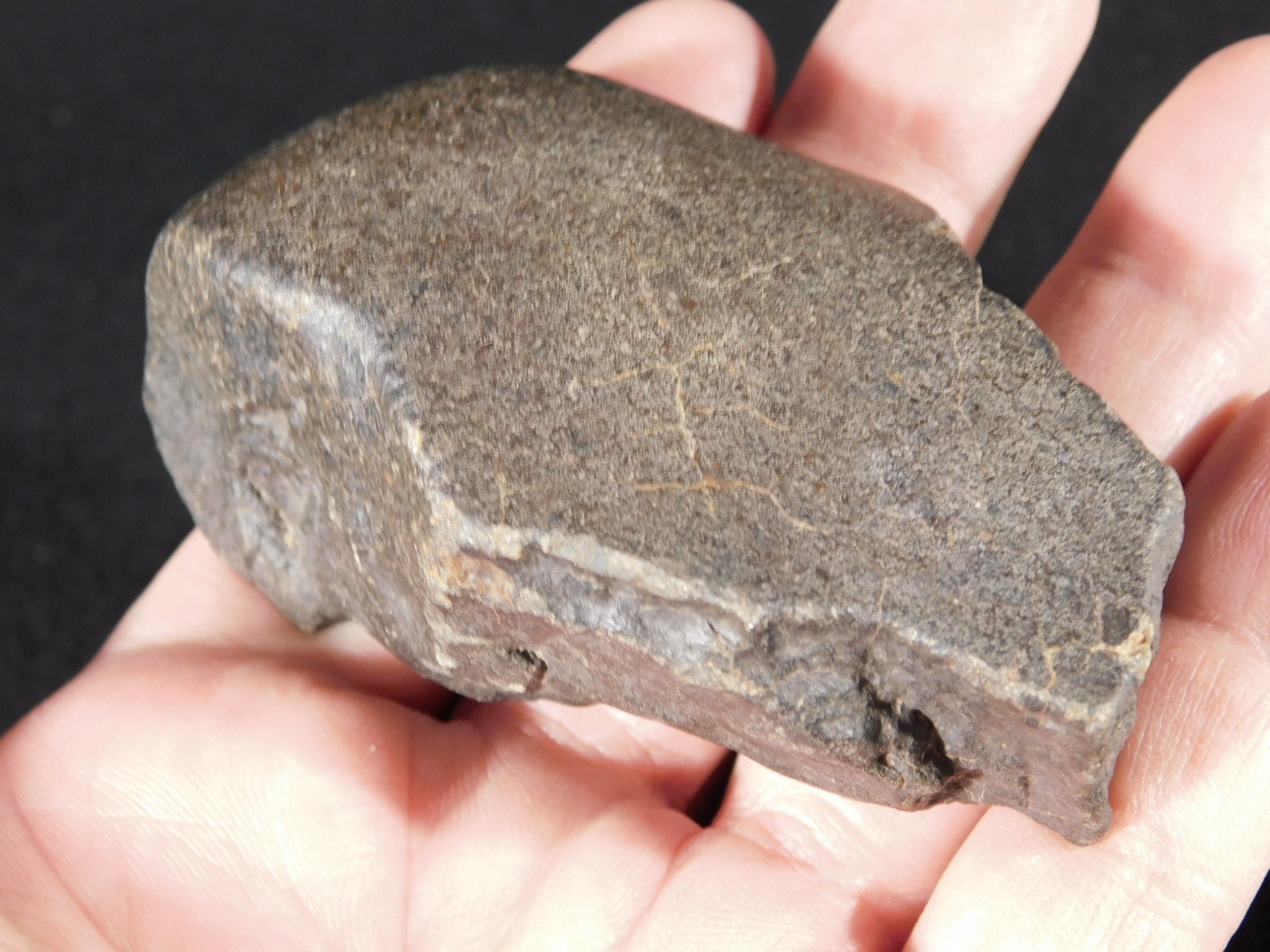 wOw! Larger! Stony METEORITE with DARK Silky Fusion Crust! FELL in Libya 219gr