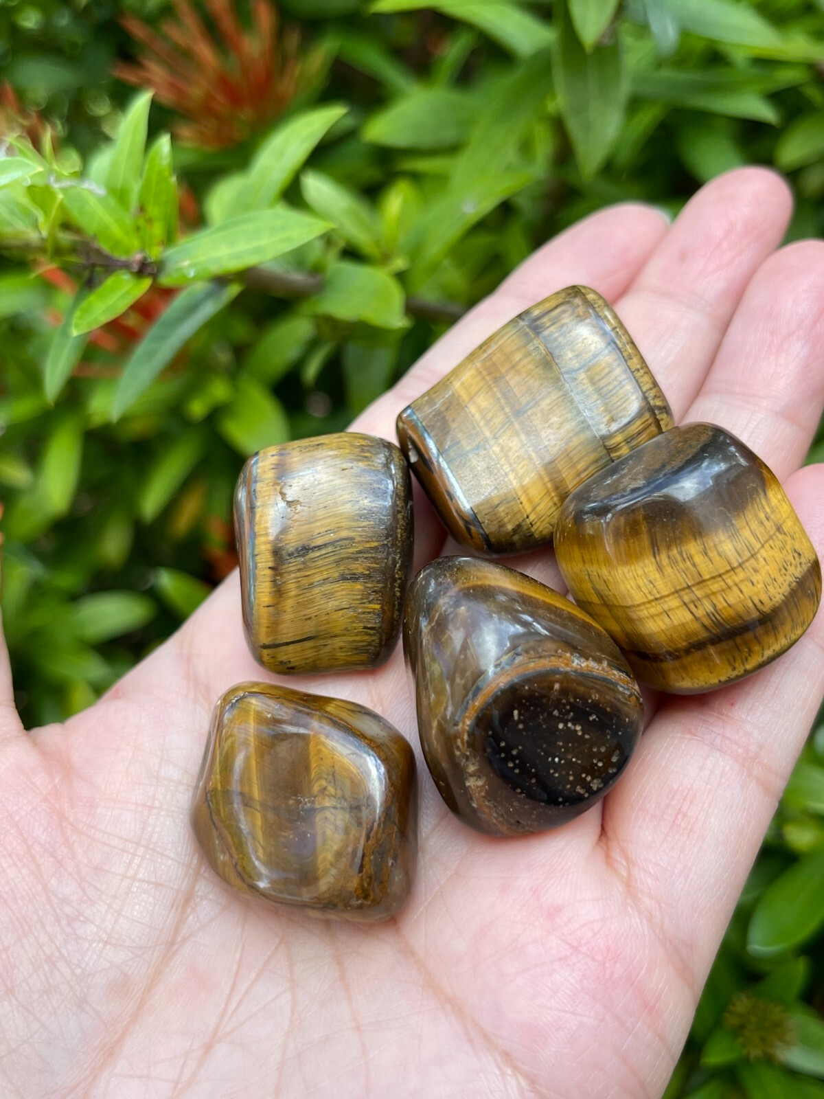 Grade A++ Gold Tiger Eye Tumbled Stones, 0.85″-1.5″ Tumbled Tiger Eye, Bulk Lot