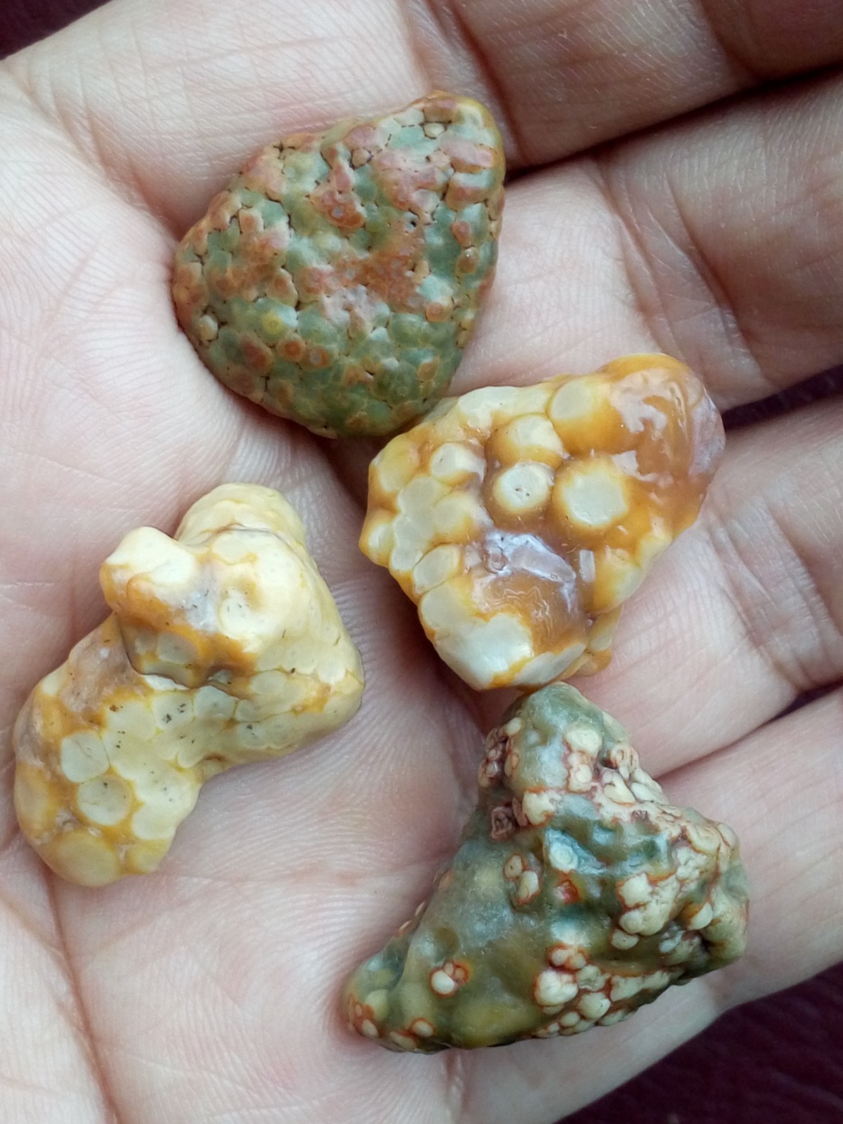 5 pieces Beautiful Natural GoBi agate collection