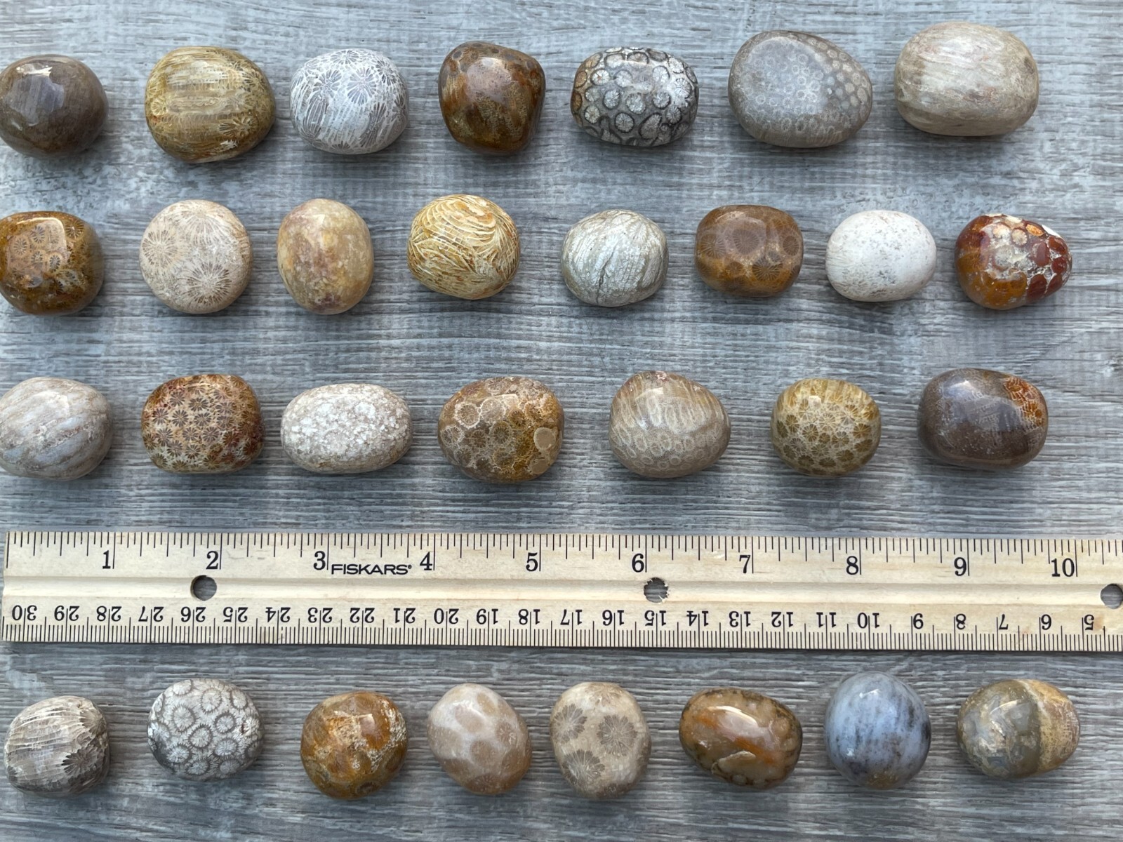 Grade A++ Fossil Coral Tumbled Stone, 0.75-1.25″ Tumbled Fossil Coral, Bulk Lot