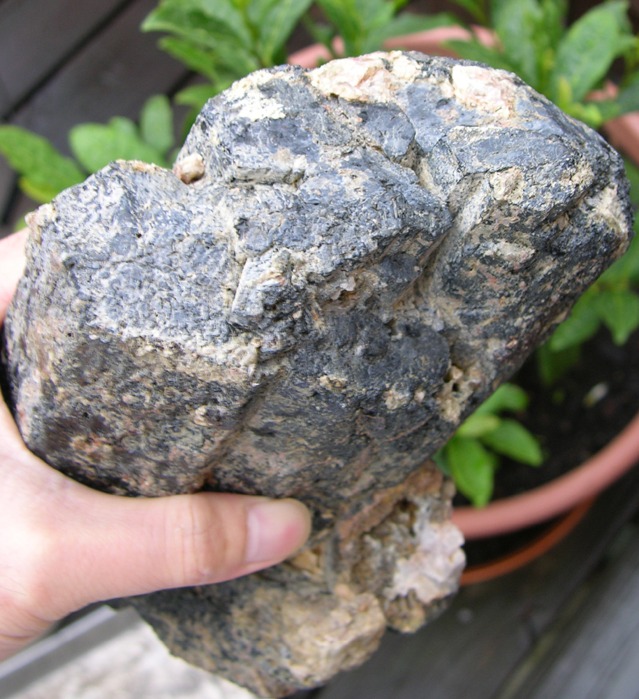 10lbs 8in Ontario Canada Huge Raw Hornblende Crystal Museum Specimen 4.50kg